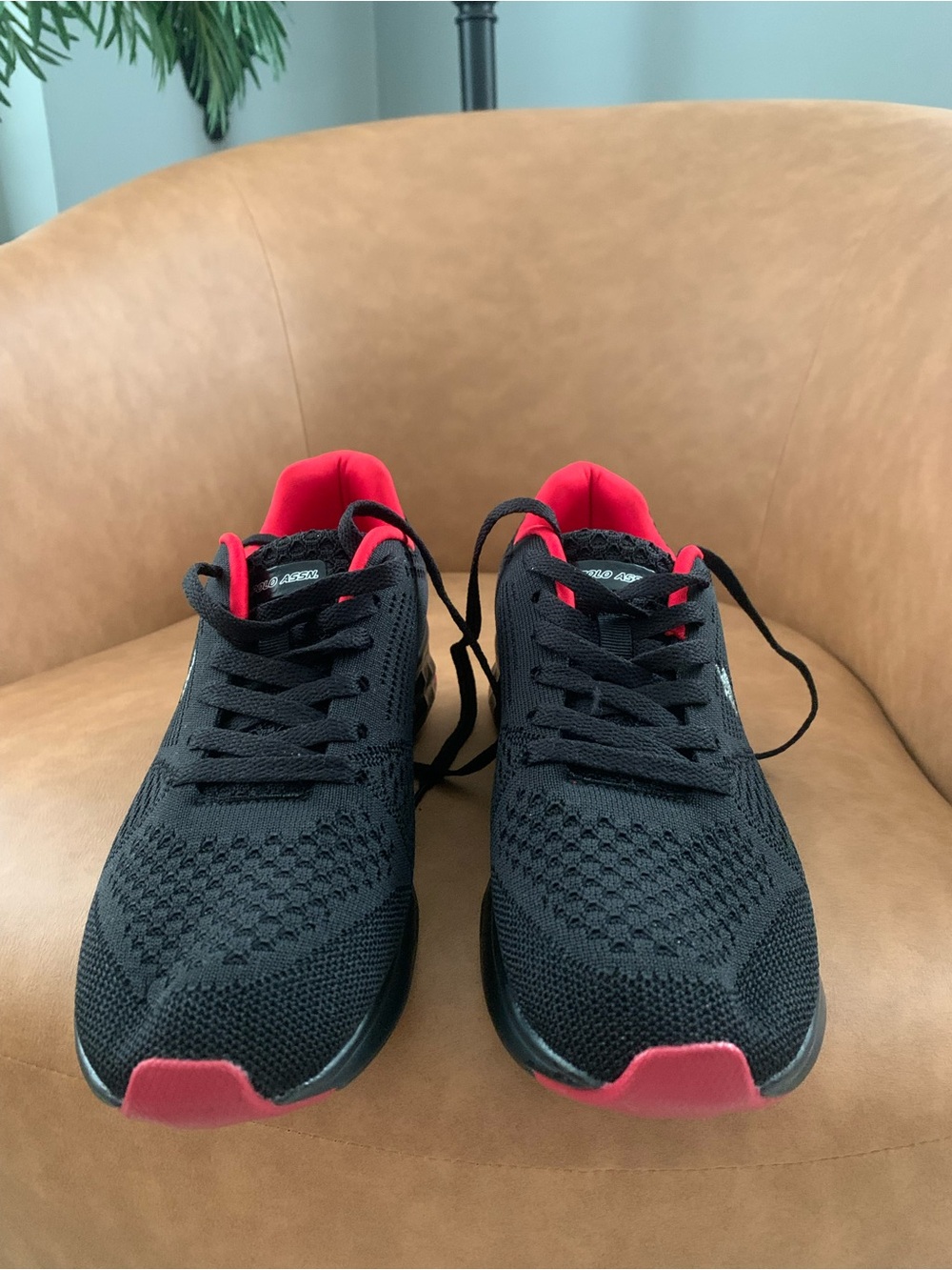 U.S. Polo Assn. Black Sneakers with Red Accents